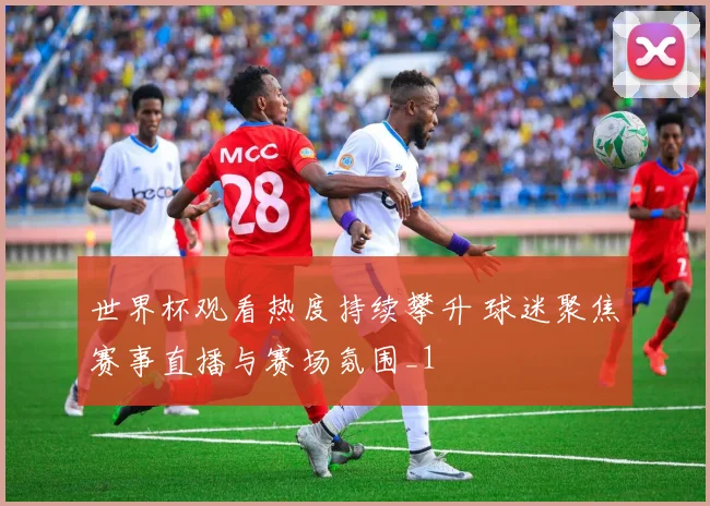 世界杯观看热度持续攀升 球迷聚焦赛事直播与赛场氛围_1