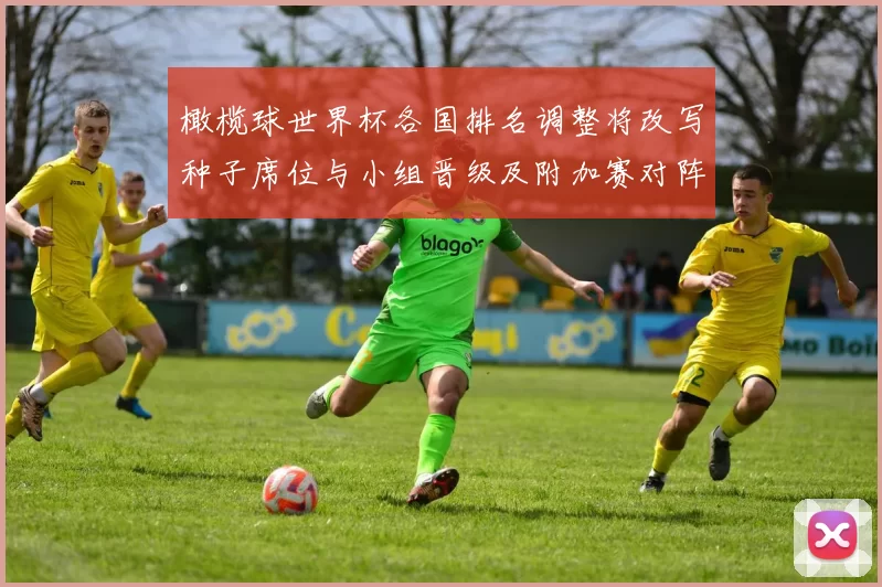 橄榄球世界杯各国排名调整将改写种子席位与小组晋级及附加赛对阵前景